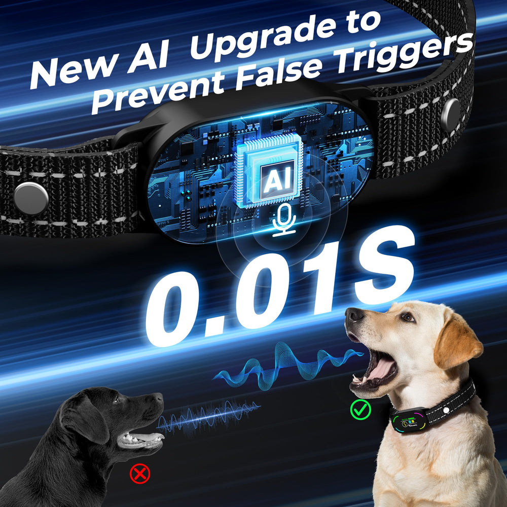 Bassflows bark collar training modes support tailored corrections