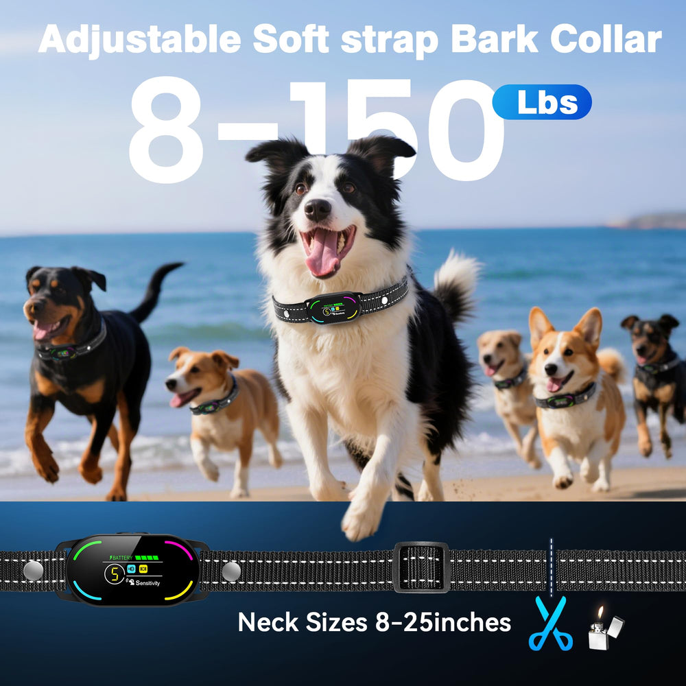 Bassflows bark collar USB charging indicator for quick power up