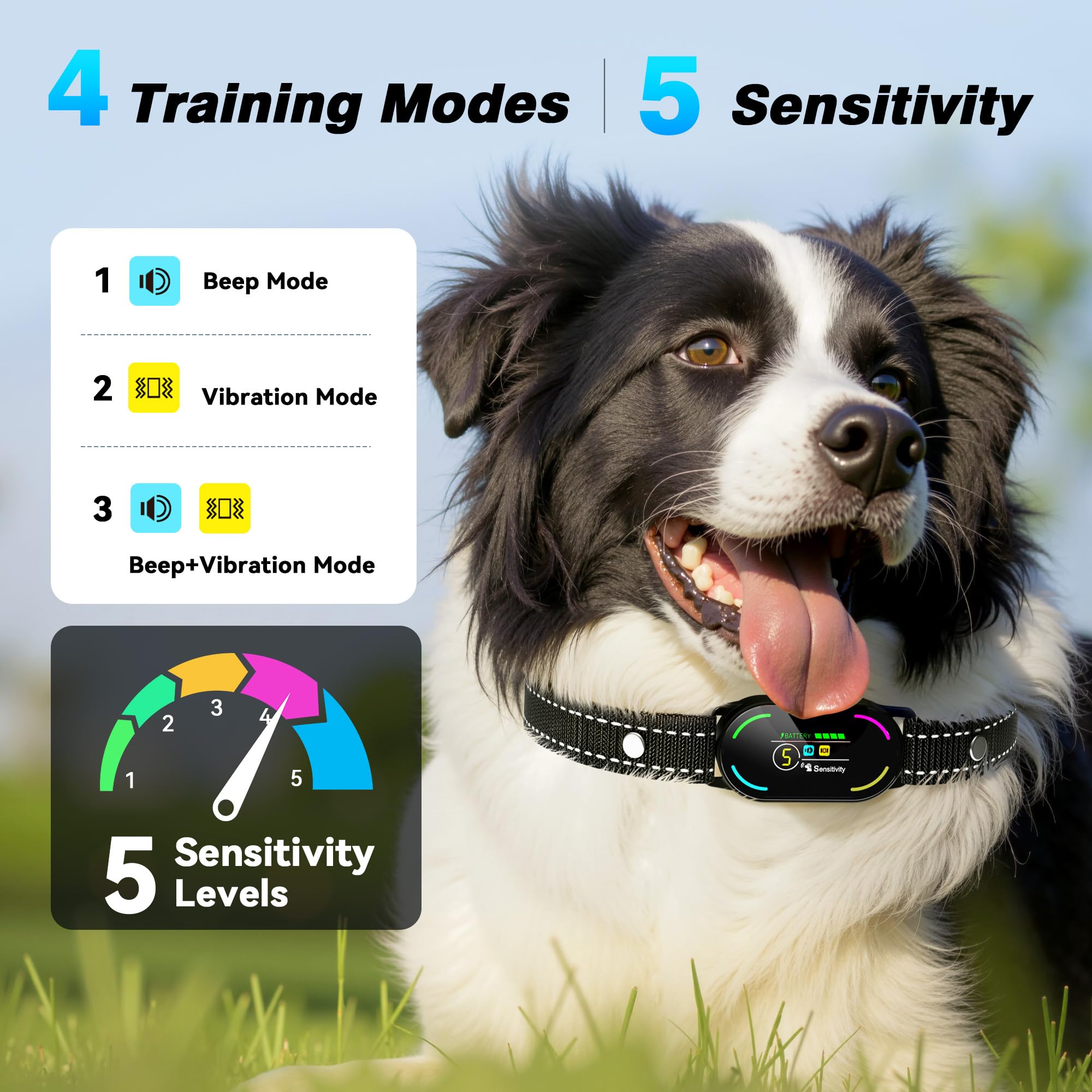 Bassflows bark collar fast USB charging for daily use