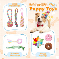 BASTIPETA Puppy Play Gym safety materials use non-toxic PVC and pet fabrics.