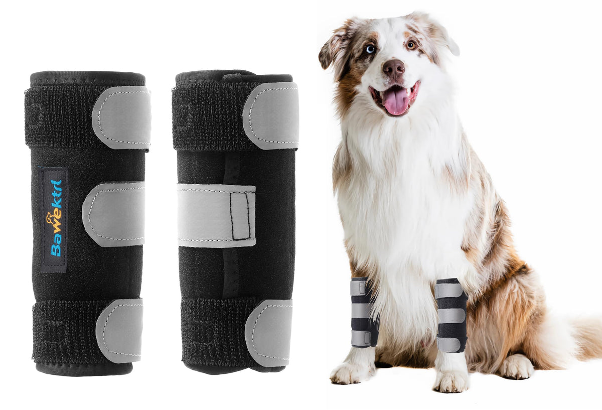 Bawektrl dog wrist brace on front leg offering stable carpal support during activity.