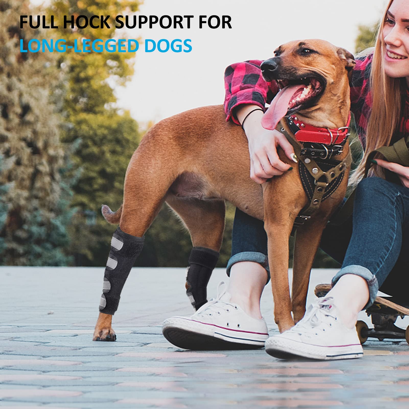 Bawektrl dog hind leg brace rear view highlights stability and balance support