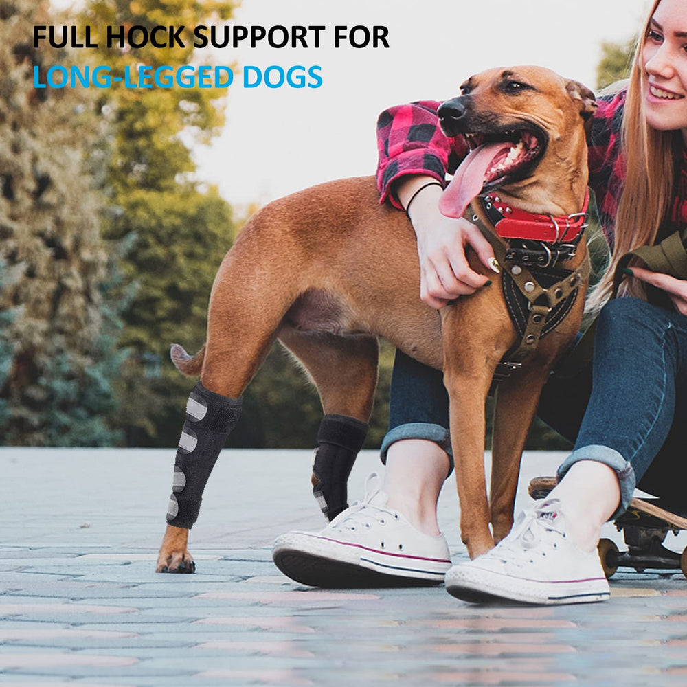 Bawektrl dog hind leg brace rear view highlights stability and balance support