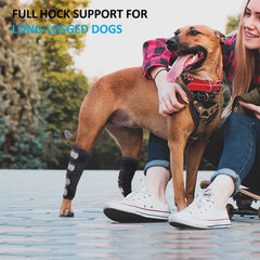 Bawektrl dog hind leg brace rear view highlights stability and balance support