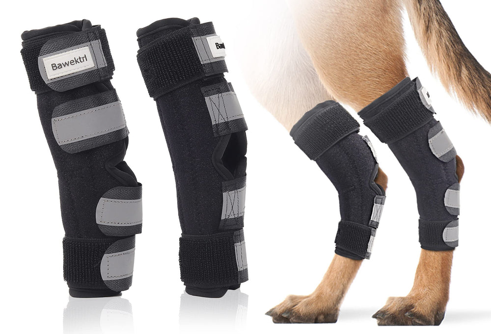 Bawektrl dog hind leg brace side view shows secure fit with supportive design