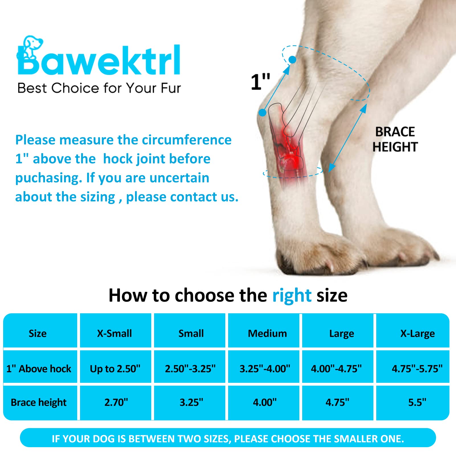 Bawektrl dog hock brace metal springs provide stability during movement