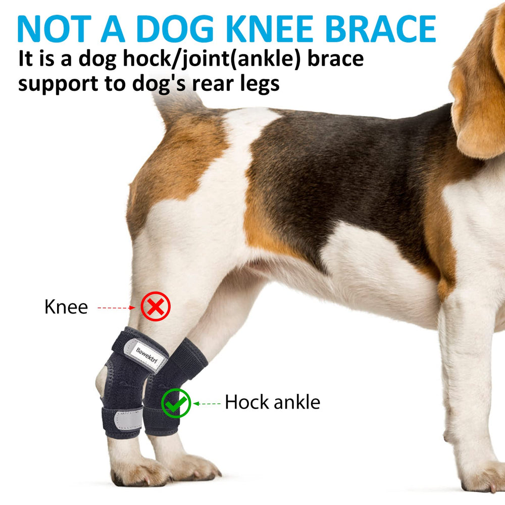 Bawektrl dog hock brace packaging and included components