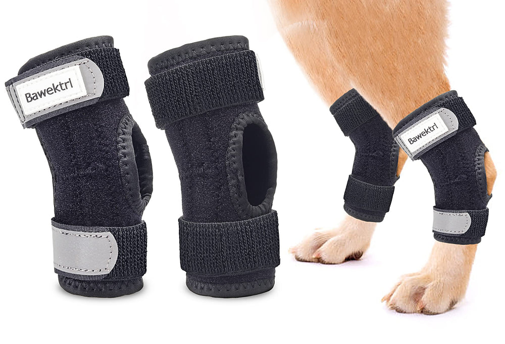 Bawektrl dog hock brace side view showing rear-leg support