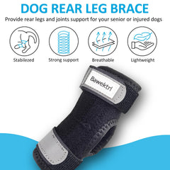 Bawektrl dog hock brace size chart for accurate fit