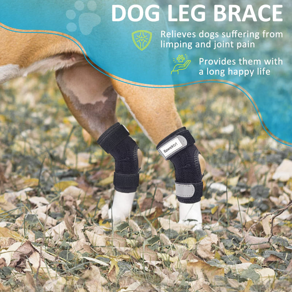 Bawektrl dog hock brace strap closeup highlighting secure Velcro straps