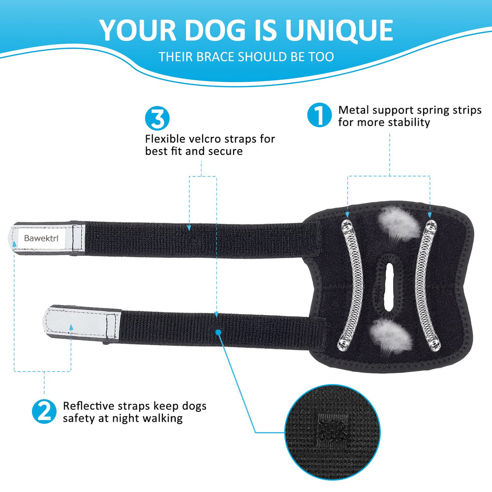 Bawektrl dog hock brace worn on dog leg during activities