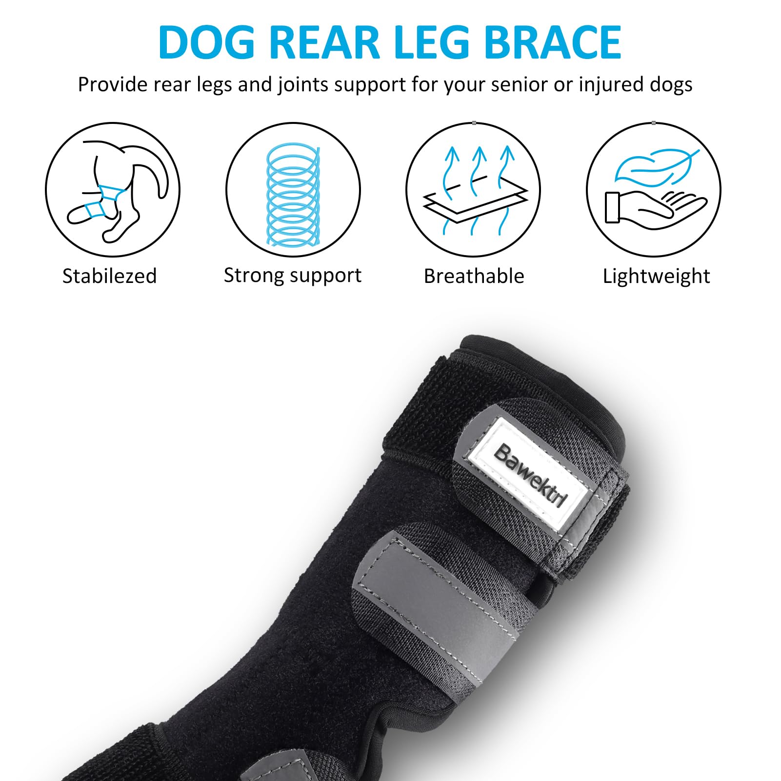 Bawektrl hock brace reflective straps closeup emphasizes night visibility and safety