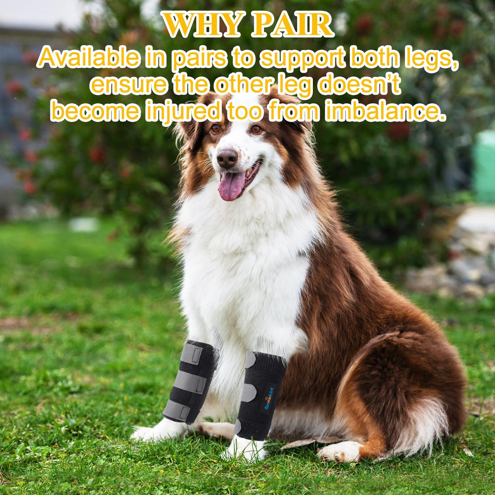 Bawektrl brace aids recovery by stabilizing the front leg after injury.