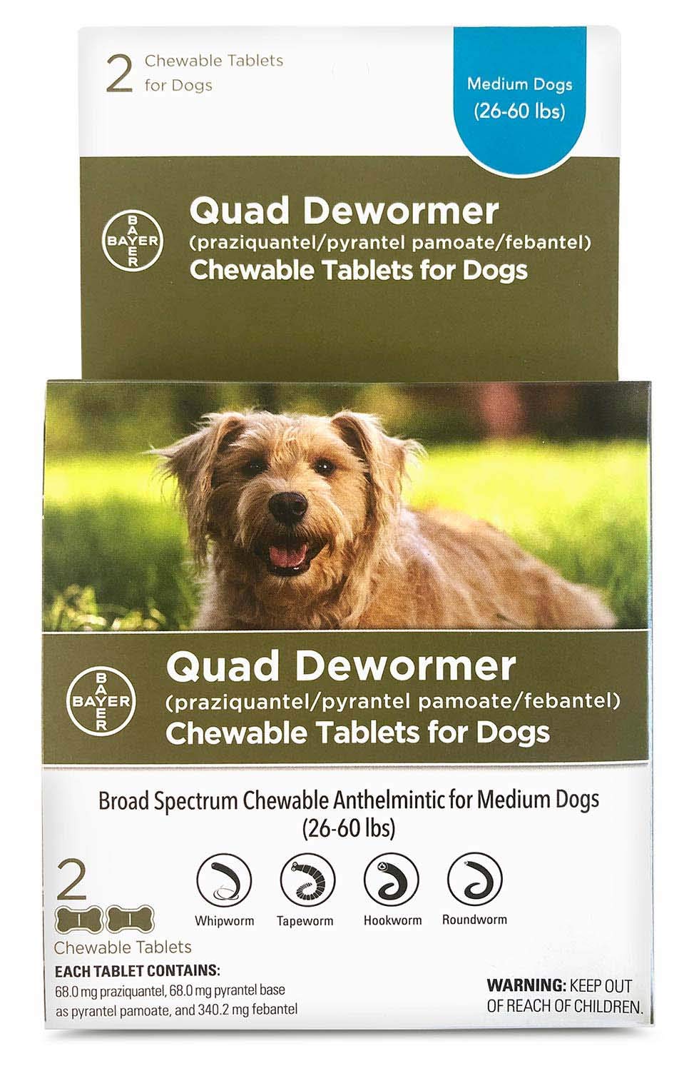 Bayer dog quad dewormer chewable tablets providing broad-spectrum protection for dogs