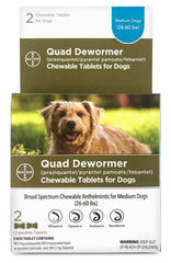 Bayer dog quad dewormer chewable tablets providing broad-spectrum protection for dogs
