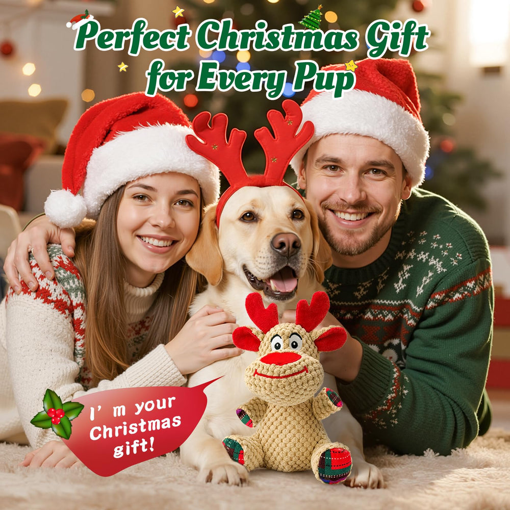 BBeary Christmas dog toy reindeer pack shot showing durable plush for holiday play