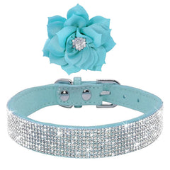 Bbmmayy diamond-crystal dog collar sparkles during walks and photos.