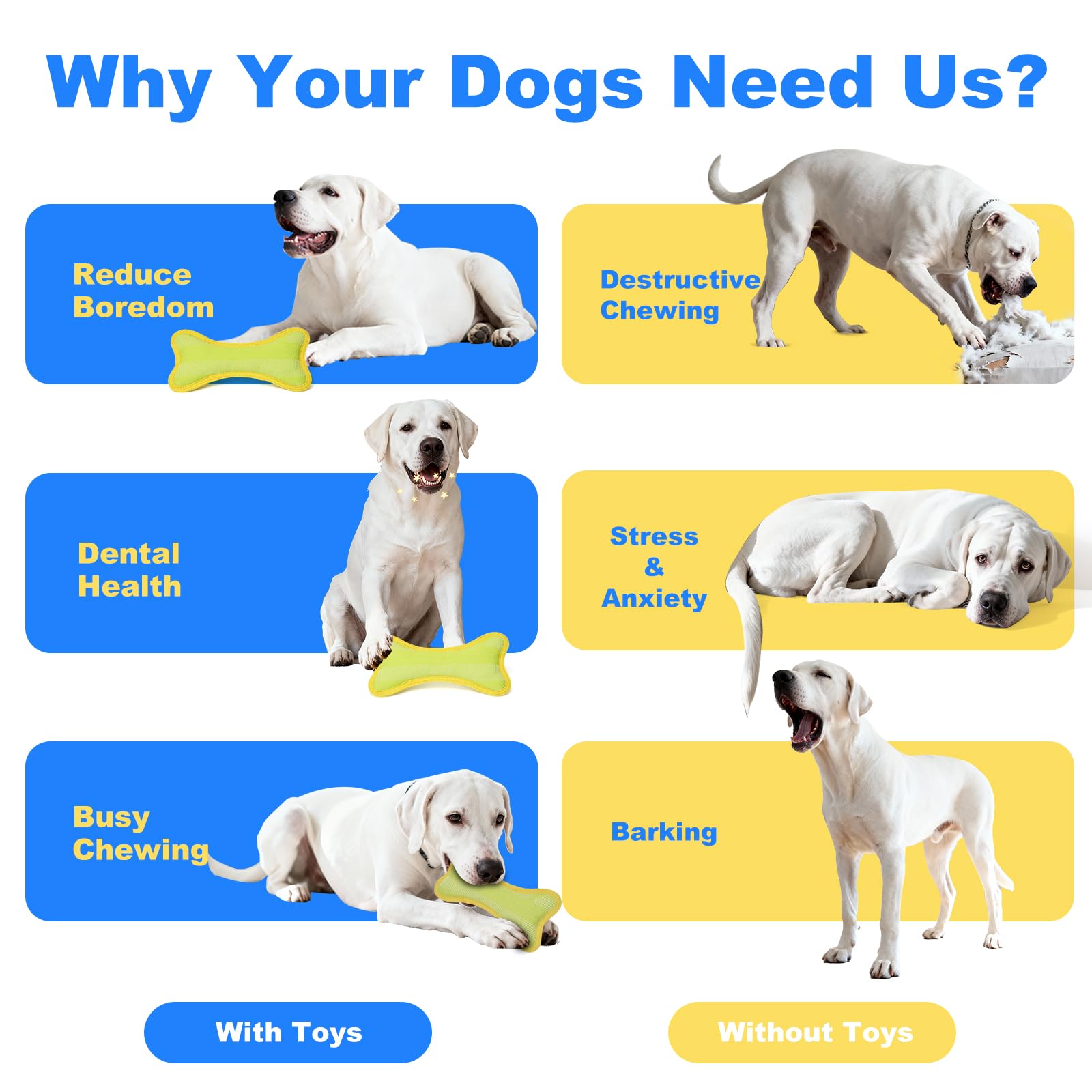 BBOM gift-ready dog toy makes a perfect birthday or holiday surprise.