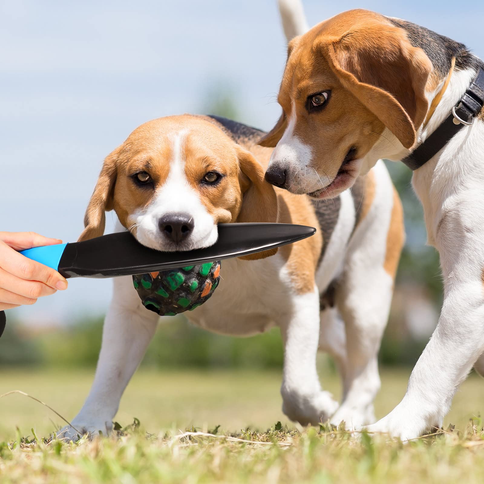 BBTO dog break-stick-two-piece-pack provides versatile options for training routines