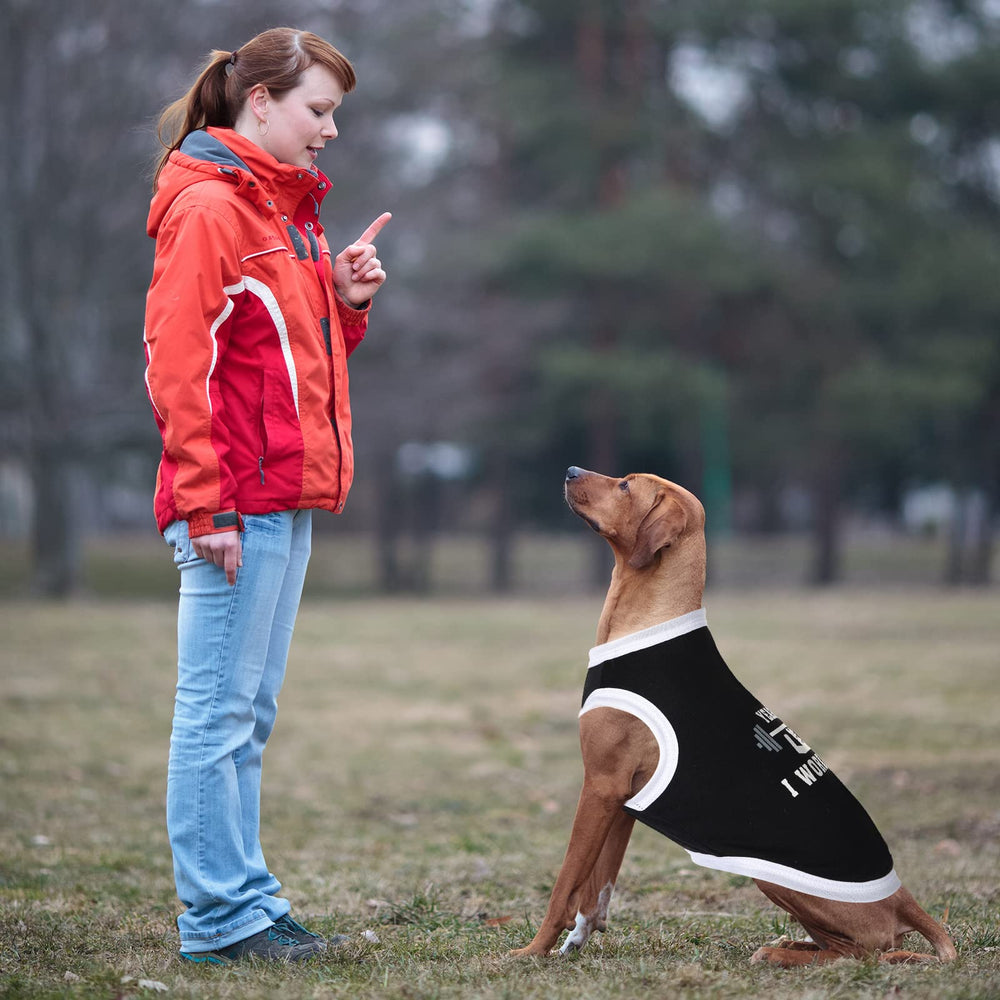 BBTO dog shirts care-friendly fabric close-up for cold-water washing.