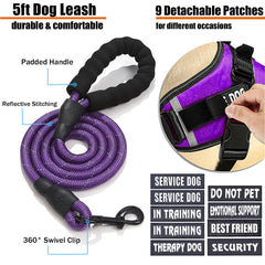 Bcadem service dog vest chest-clip close-up showing easy no-pull control.