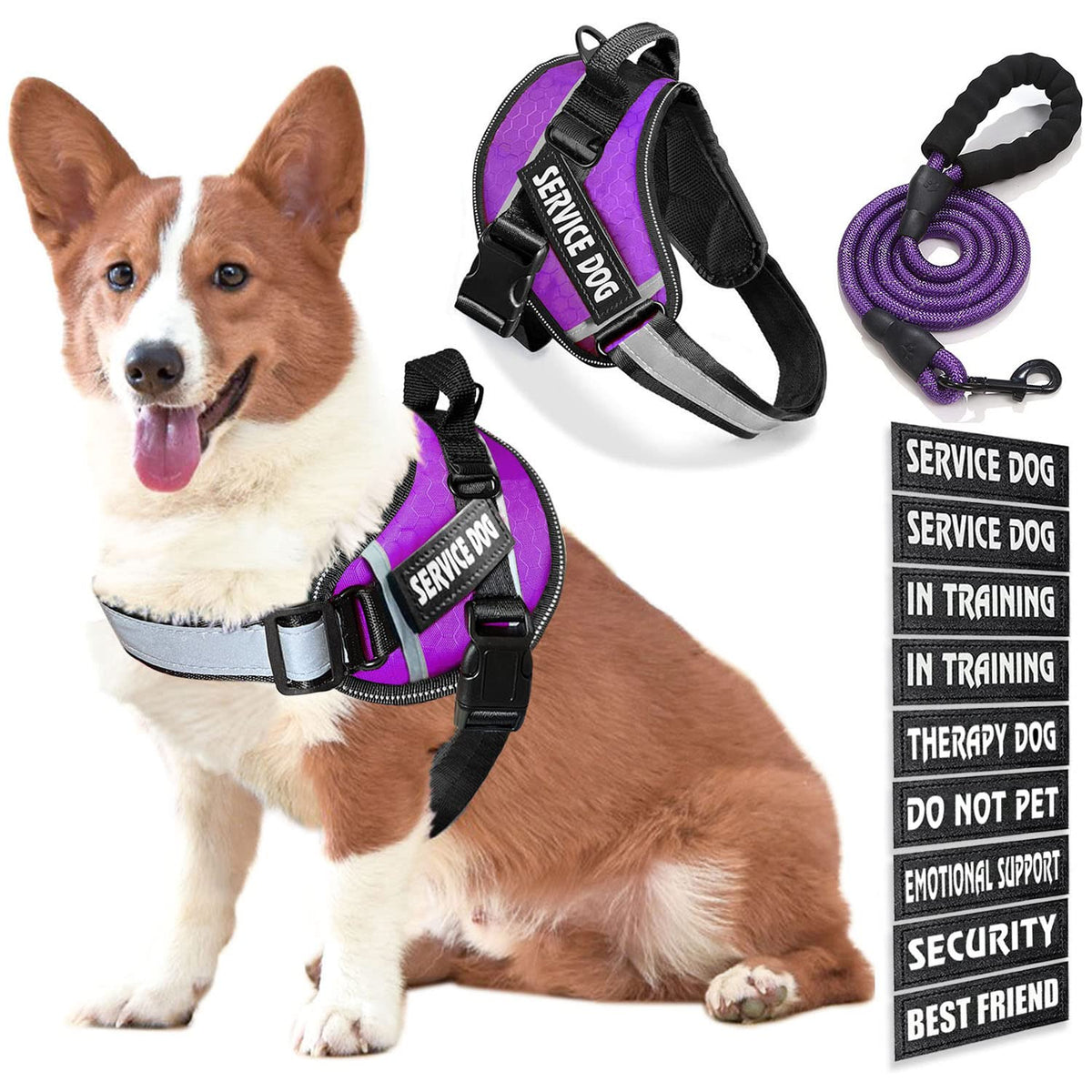 Bcadem service dog vest front view, durable no-pull design for confident outdoor walks.