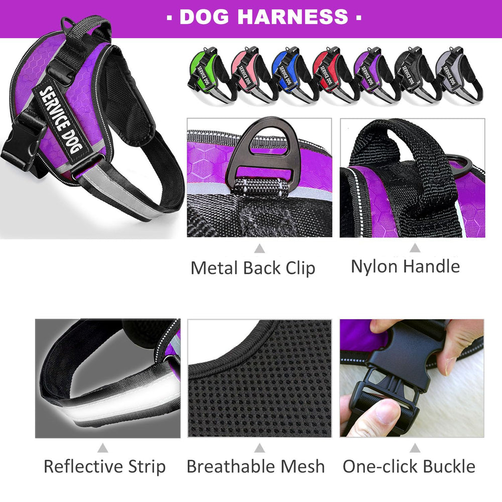 Bcadem service dog vest patches swappable view, enabling role customization during training.