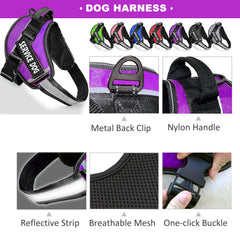 Bcadem service dog vest patches swappable view, enabling role customization during training.