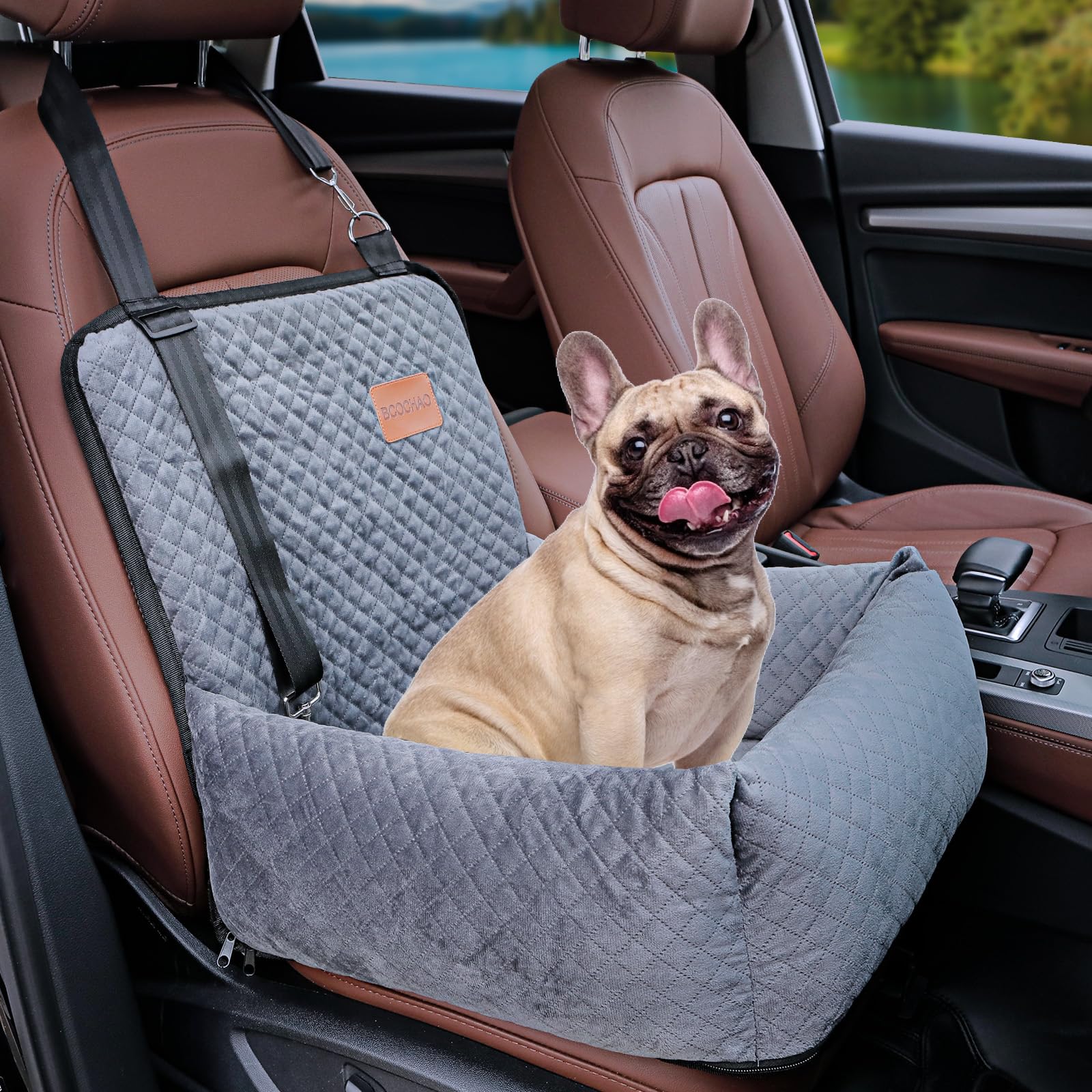 BCOCHAO dog car seat in-car setup shows secure travel for small to medium dogs