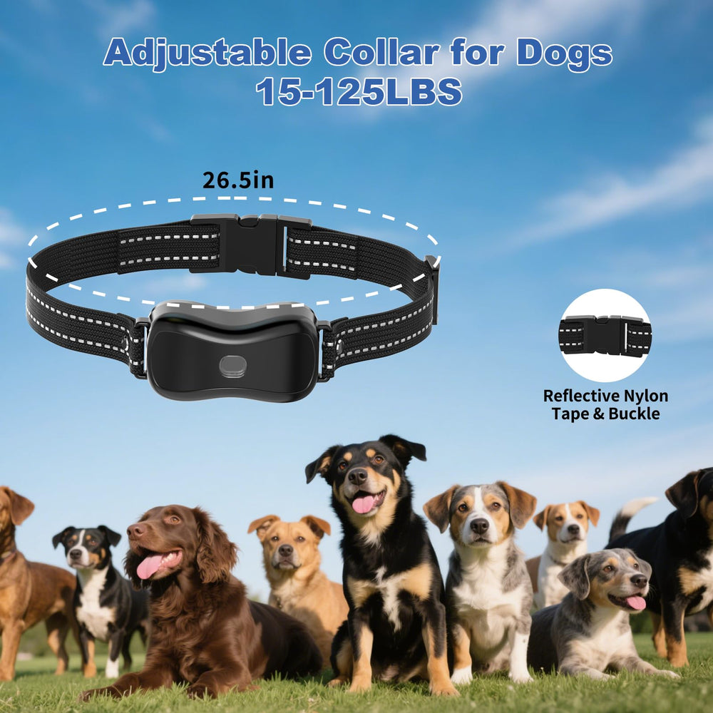 BCPETMY charging kit supports long-lasting battery life for extended sessions.