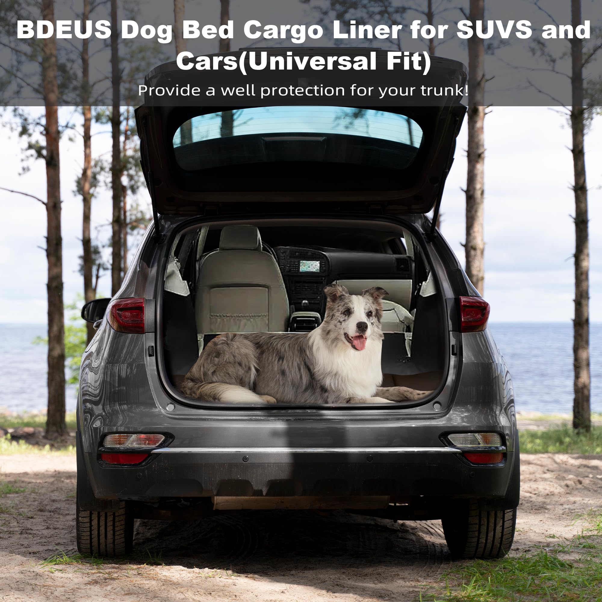 BDEUS breathable high-density fabric keeps dogs cool after play