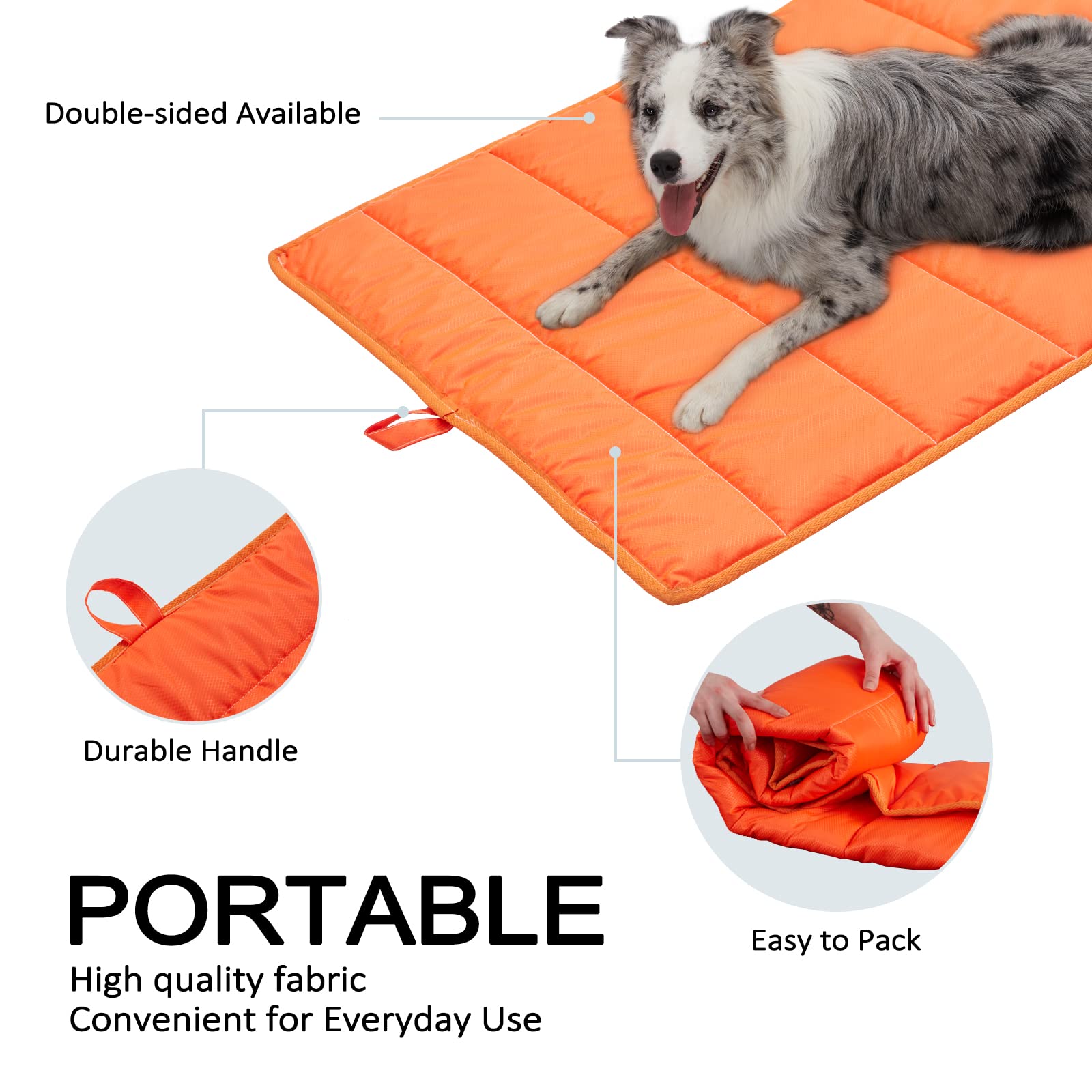 BDEUS suitable for dogs up to 70 pounds and 35 inches long.