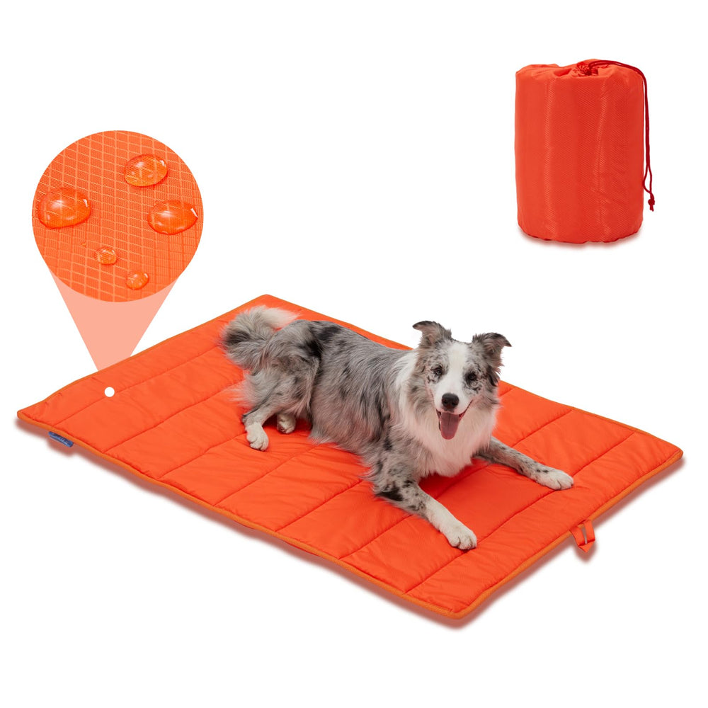 BDEUS extralarge dog bed on camping setup offers portable comfort.