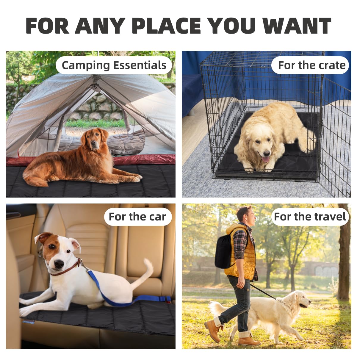 BDEUS large 43x25in dog bed set up for camping and car trips.