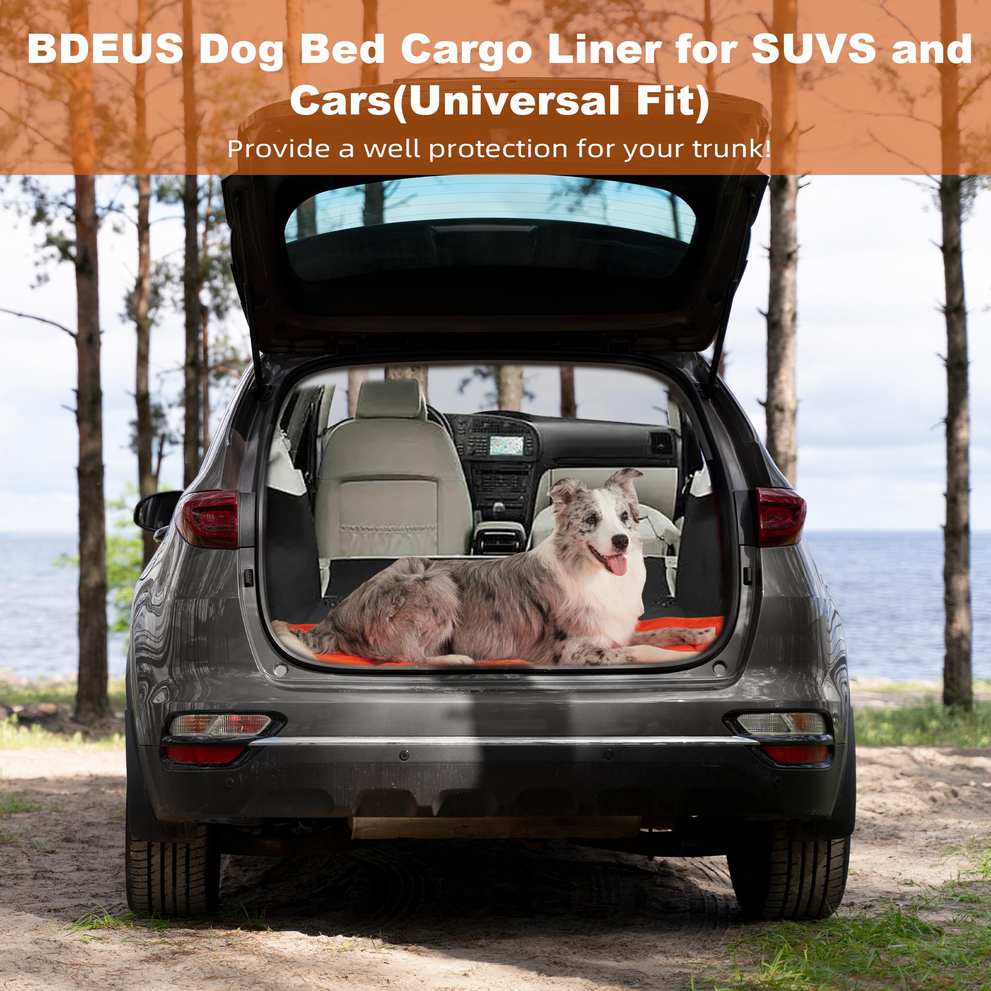 BDEUS odor-resistant cooling pad supports a relaxed, cooled dog.