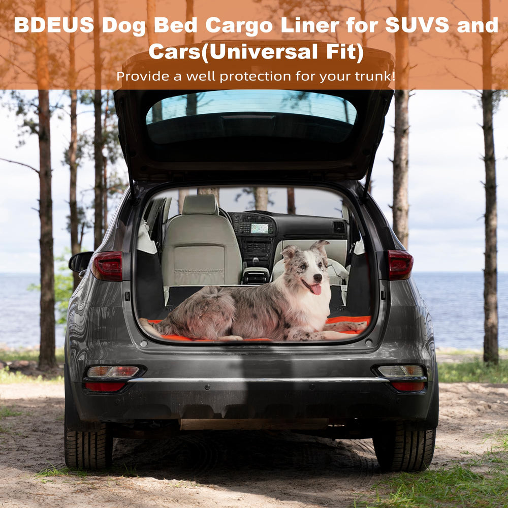 BDEUS odor-resistant cooling pad supports a relaxed, cooled dog.