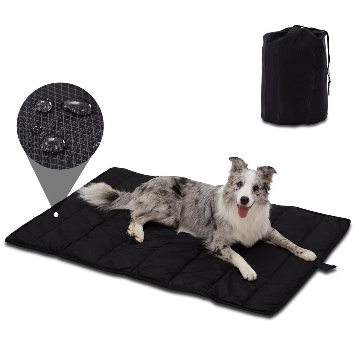 BDEUS outdoor dog bed 51x35 laid flat for camping comfort