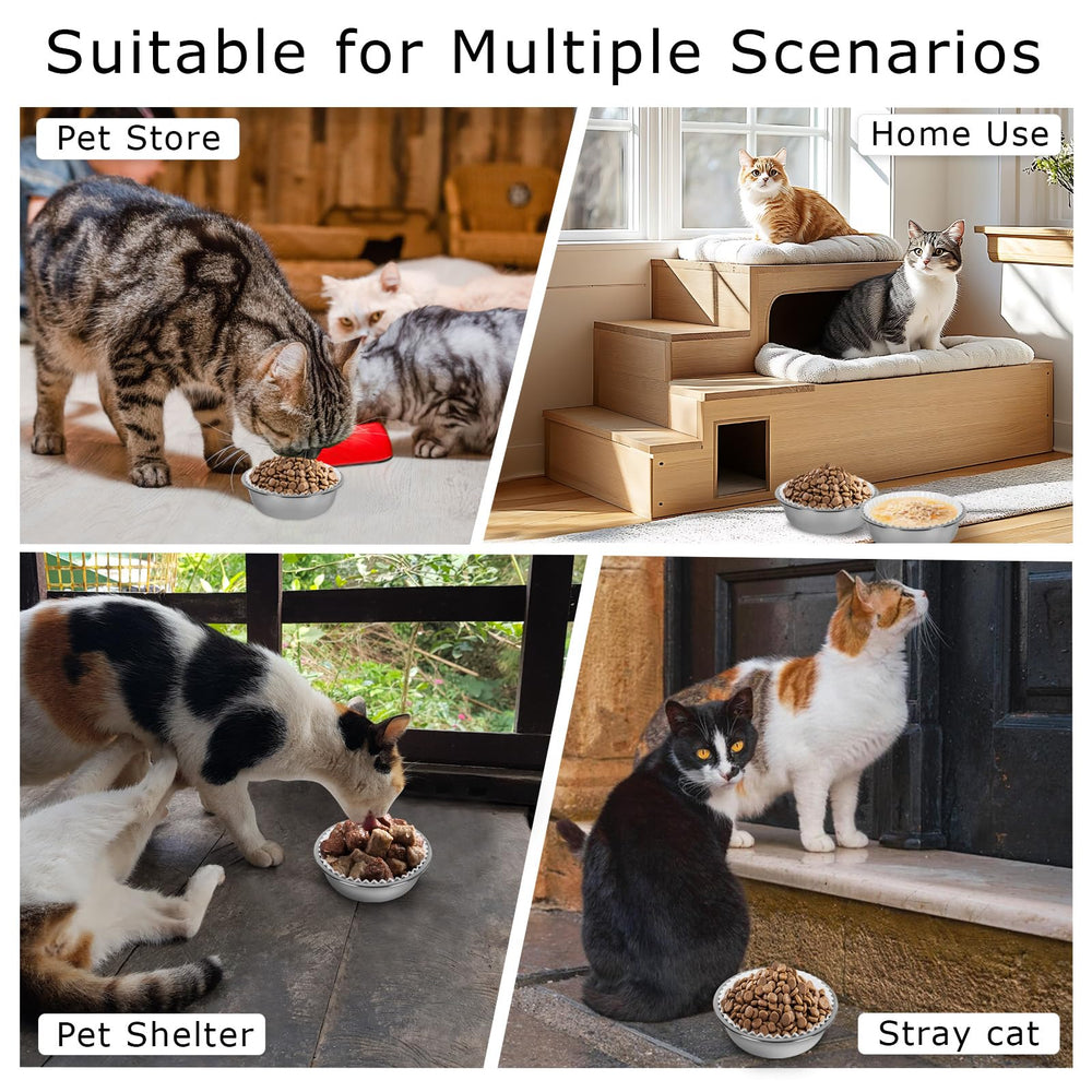 BeaAiwa-multi-pet-feeding-station-setup; streamlined feeding for multiple pets.