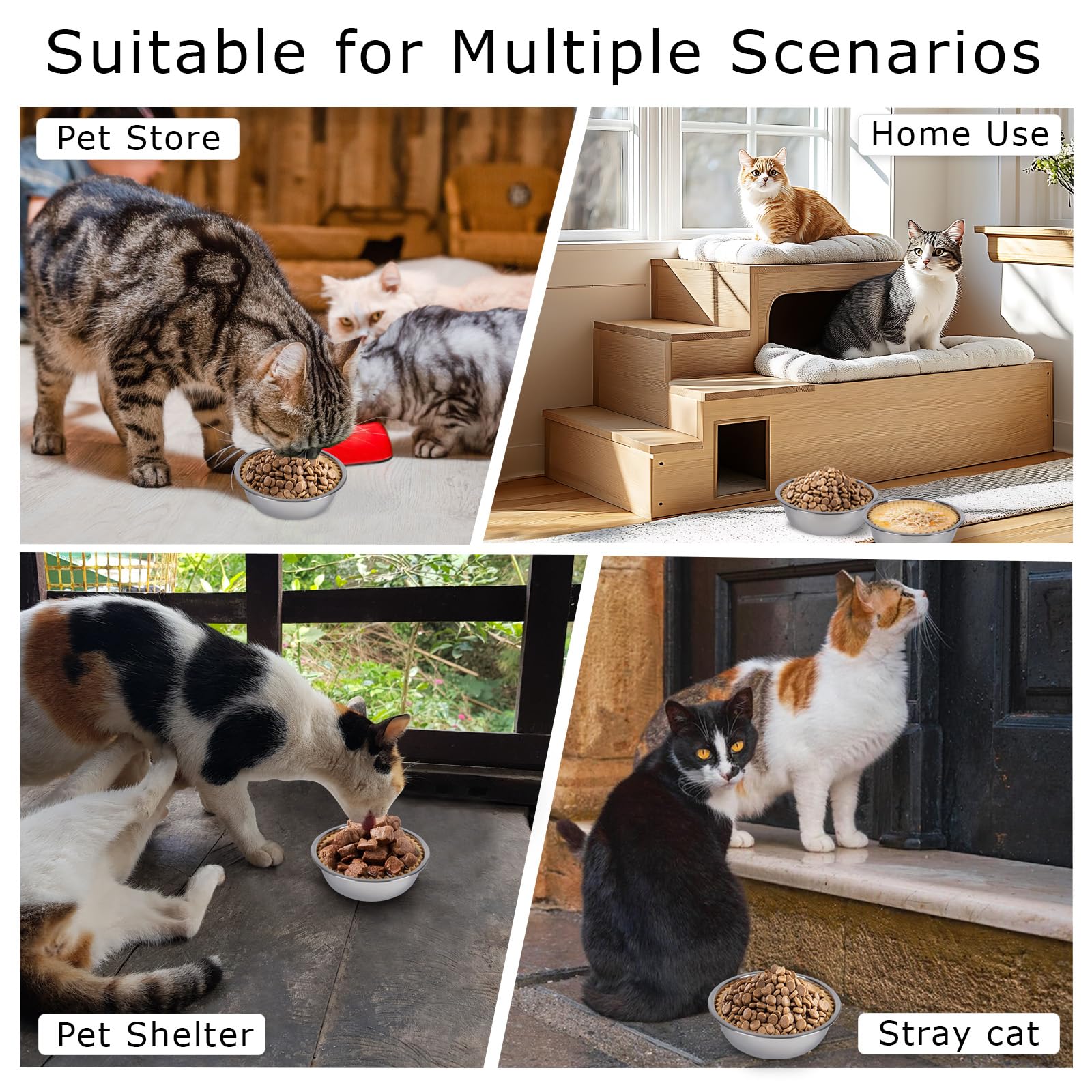BeaAiwa multi-pet-feeding-station-setup demonstrates versatile use across small pets.