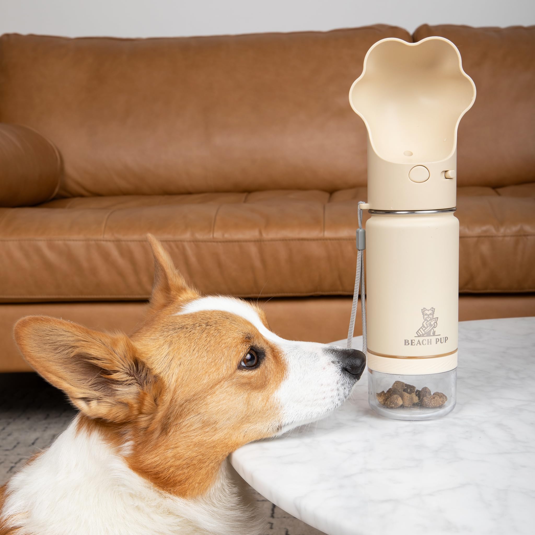 BEACHPUP dog water bottle cream 2-in-1 design saves space on hikes