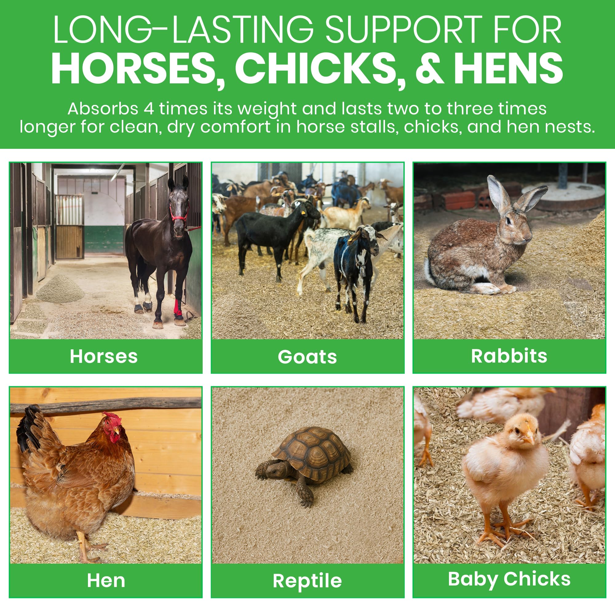 Bean Products hemp-animal-bedding-garden-amendment shows soil enhancement for seed starting.