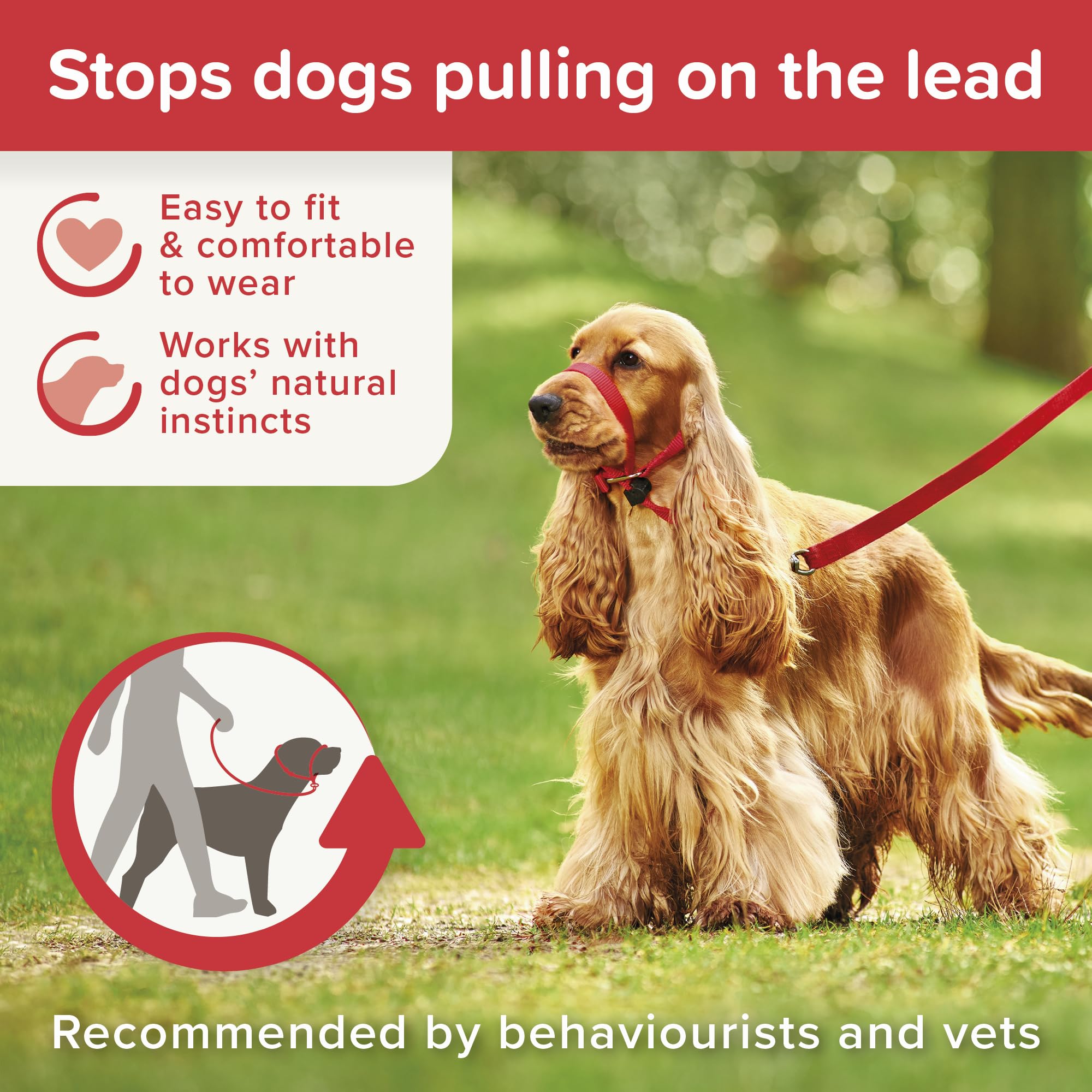 Beaphar Gentle Leader back-of-neck strap illustrates natural control method