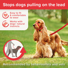 Beaphar Gentle Leader back-of-neck strap illustrates natural control method
