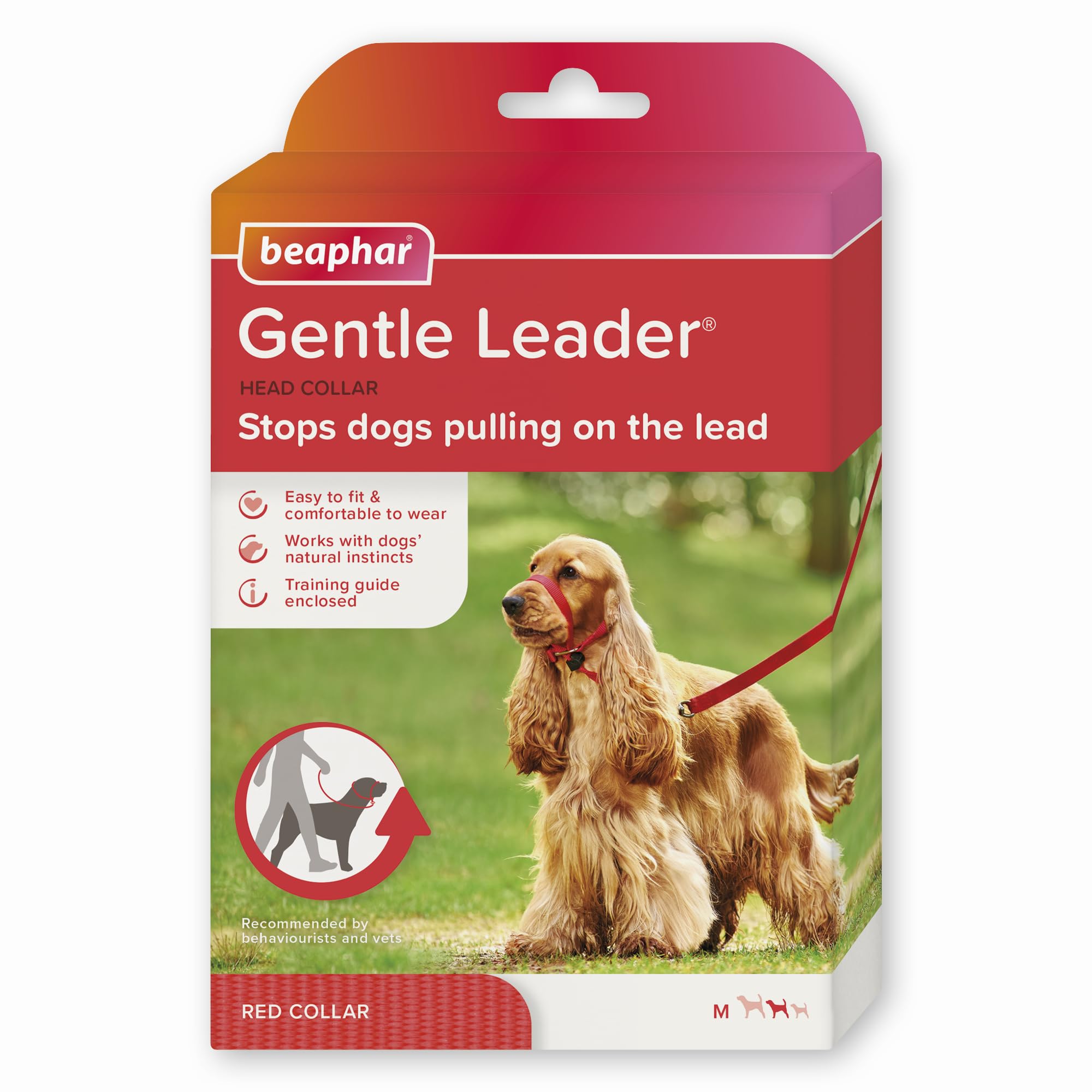 Beaphar Gentle Leader head collar on medium dog's nose area controls pulling during walks