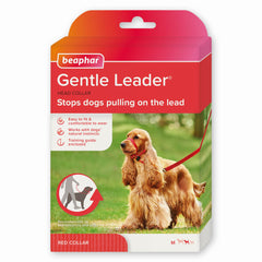 Beaphar Gentle Leader head collar on medium dog's nose area controls pulling during walks