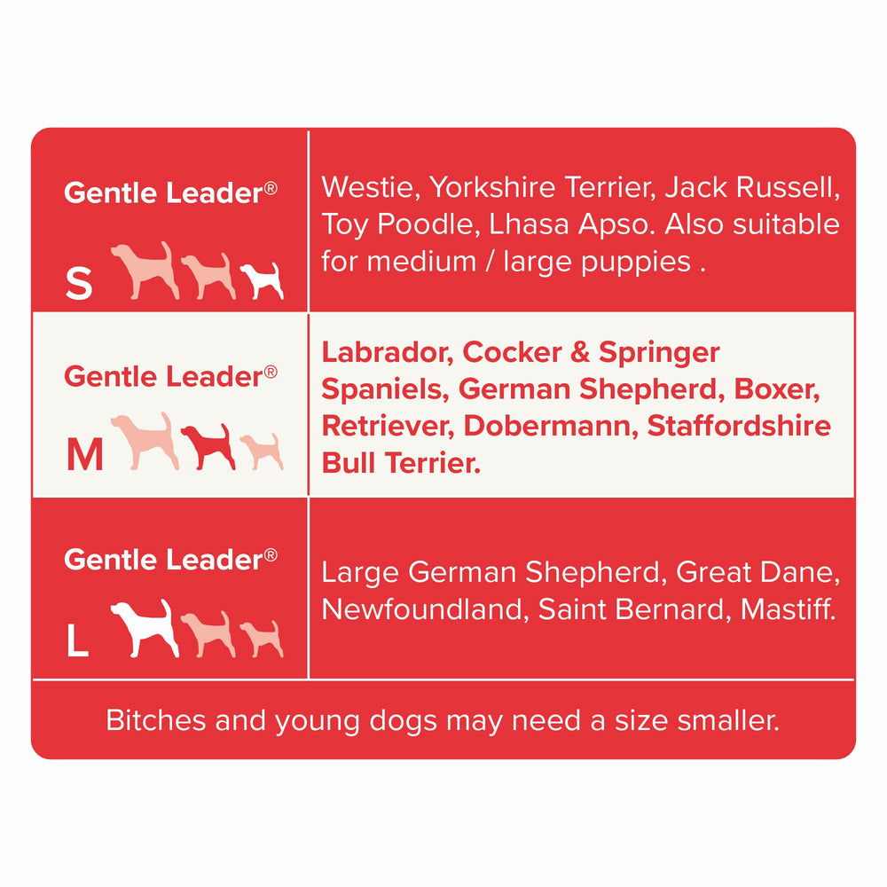 Beaphar Gentle Leader size medium on a dog being guided during a training session