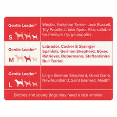 Beaphar Gentle Leader size medium on a dog being guided during a training session