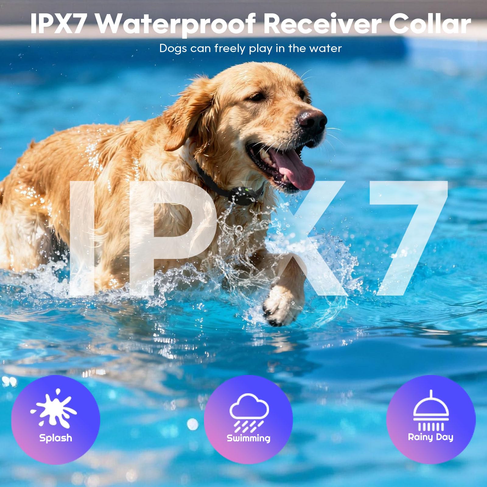 Beatails waterproof dog collar image demonstrates IPX7 protection for rainy play.