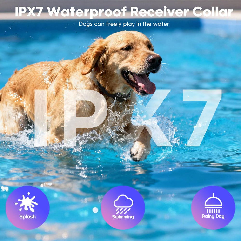 Beatails waterproof dog collar image demonstrates IPX7 protection for rainy play.