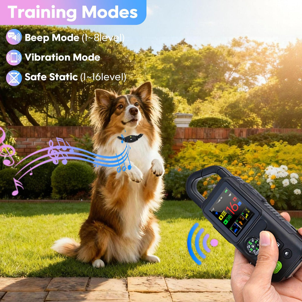 Beatails training modes graphic emphasizes progressive correction across three modes.